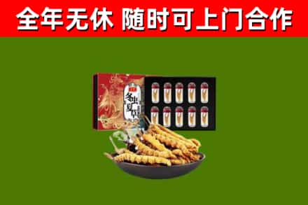 崇义回收冬虫夏草价格